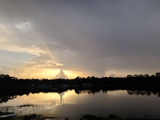 National Forest «Ocala National Forest», reviews and photos, FL-40, Silver Springs, FL 34488, USA