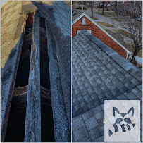 Critter Evictors Wildlife Control - Photo 8 - Car repair in , Phoenix