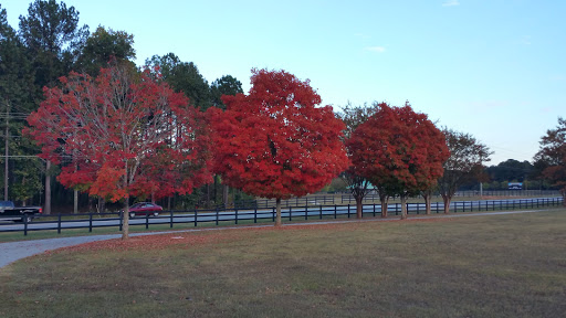 Park «Lenora Park», reviews and photos, 4515 Lenora Church Rd, Snellville, GA 30039, USA