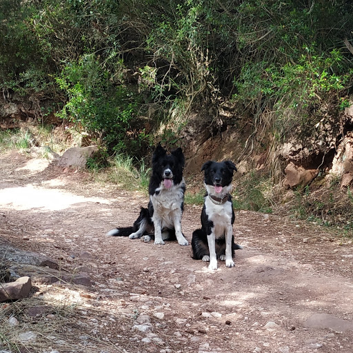 Clínica Veterinaria Premià en Premià de Mar