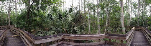 Park «Winston Park Nature Center», reviews and photos, 5201 NW 49th Ave, Coconut Creek, FL 33073, USA