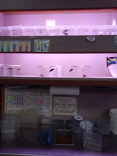 Pet Supply Store «Tropical World Pets», reviews and photos, 8444 Watson Rd, Webster Groves, MO 63119, USA