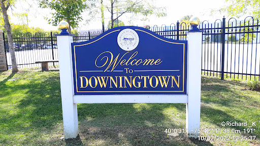 Tree service - Downingtown, PA - Felling Pro