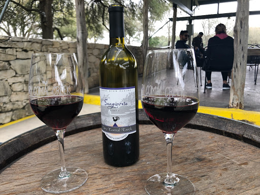 Vineyard «Dry Comal Creek Winery & Vineyards», reviews and photos, 1741 Herbelin Rd, New Braunfels, TX 78132, USA