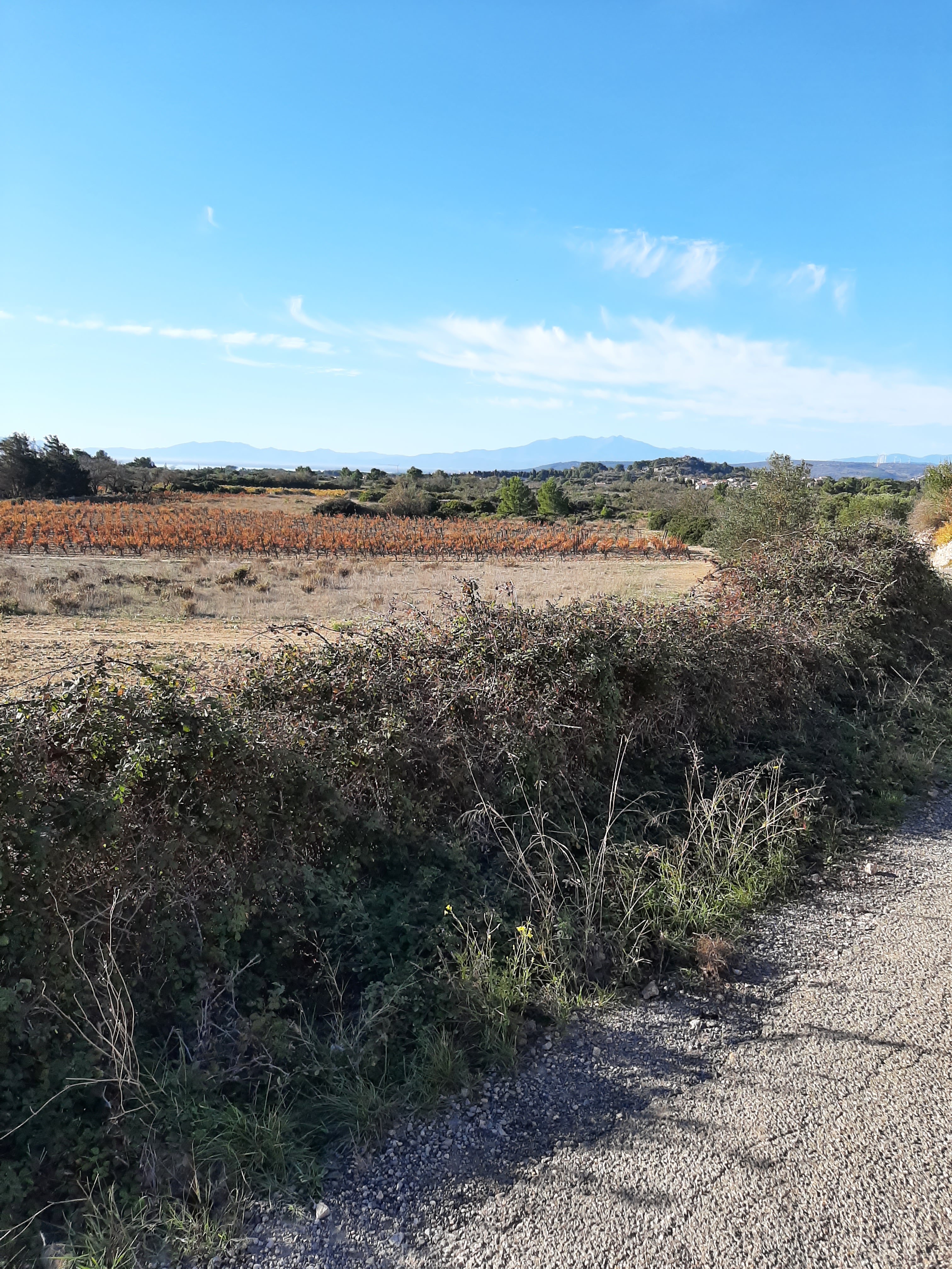 Photo n° 5 de l'avis de Joelle.A fait le 19/11/2023 à 15:22