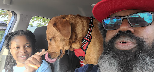 Pet Supply Store «PetSmart», reviews and photos, 2410 Merrick Rd #1, Bellmore, NY 11710, USA