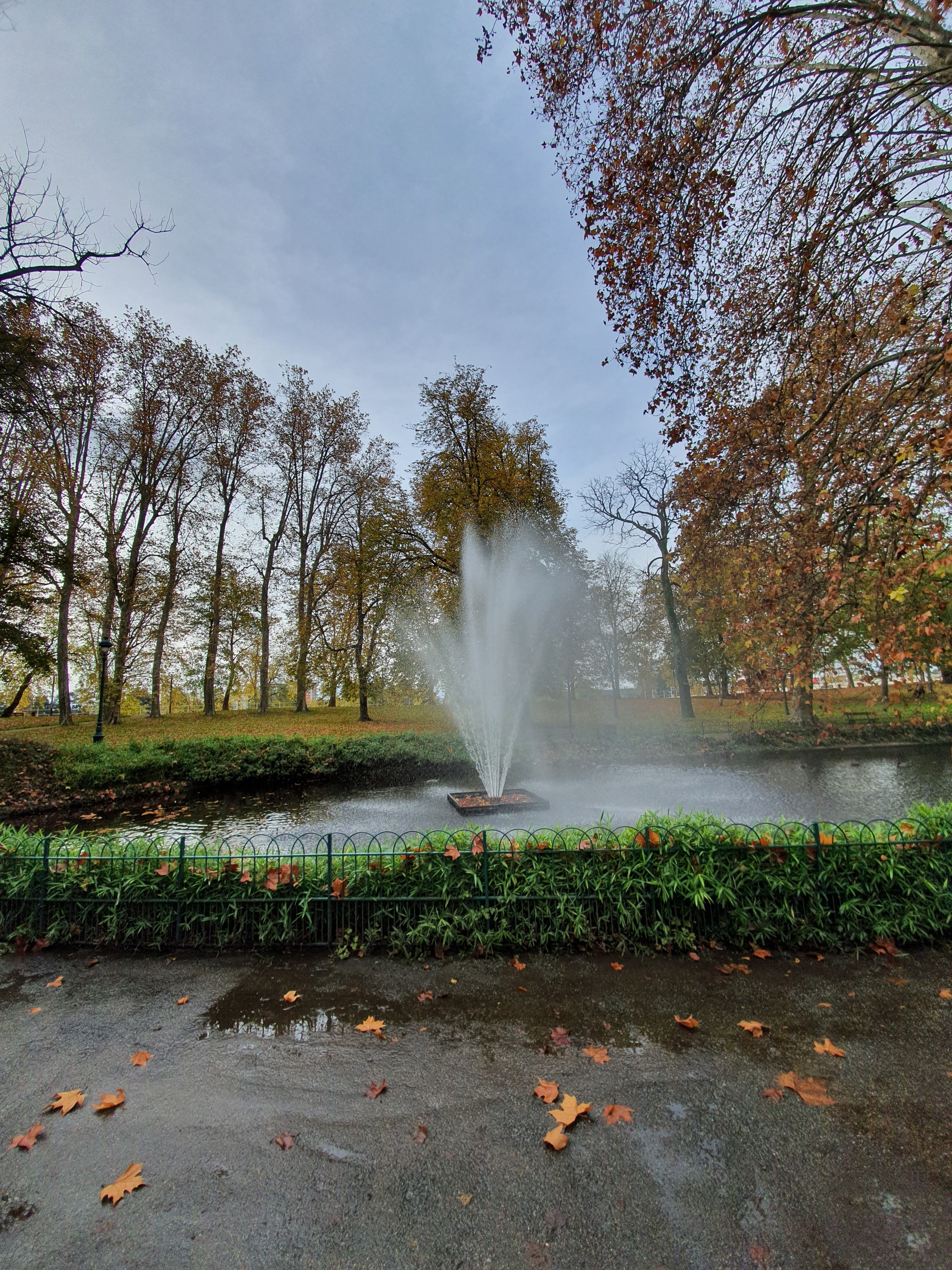 Photo n° 3 de l'avis de Co. fait le 17/11/2019 à 11:29