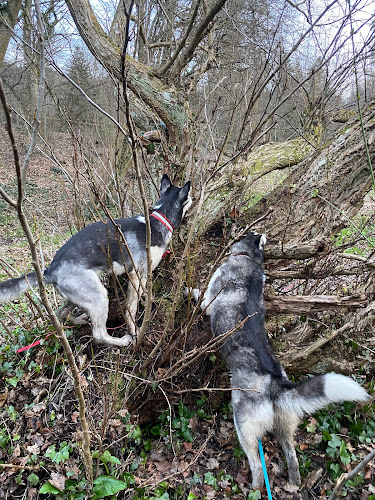 TAPS für Menschen mit Hund - Freiburg