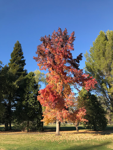 Country Club «Green Valley Country Club», reviews and photos, 35 Country Club Dr, Fairfield, CA 94534, USA