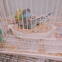 Noah's Ark - Photo 6 - Car repair in El Monte, CA, East Los Angeles