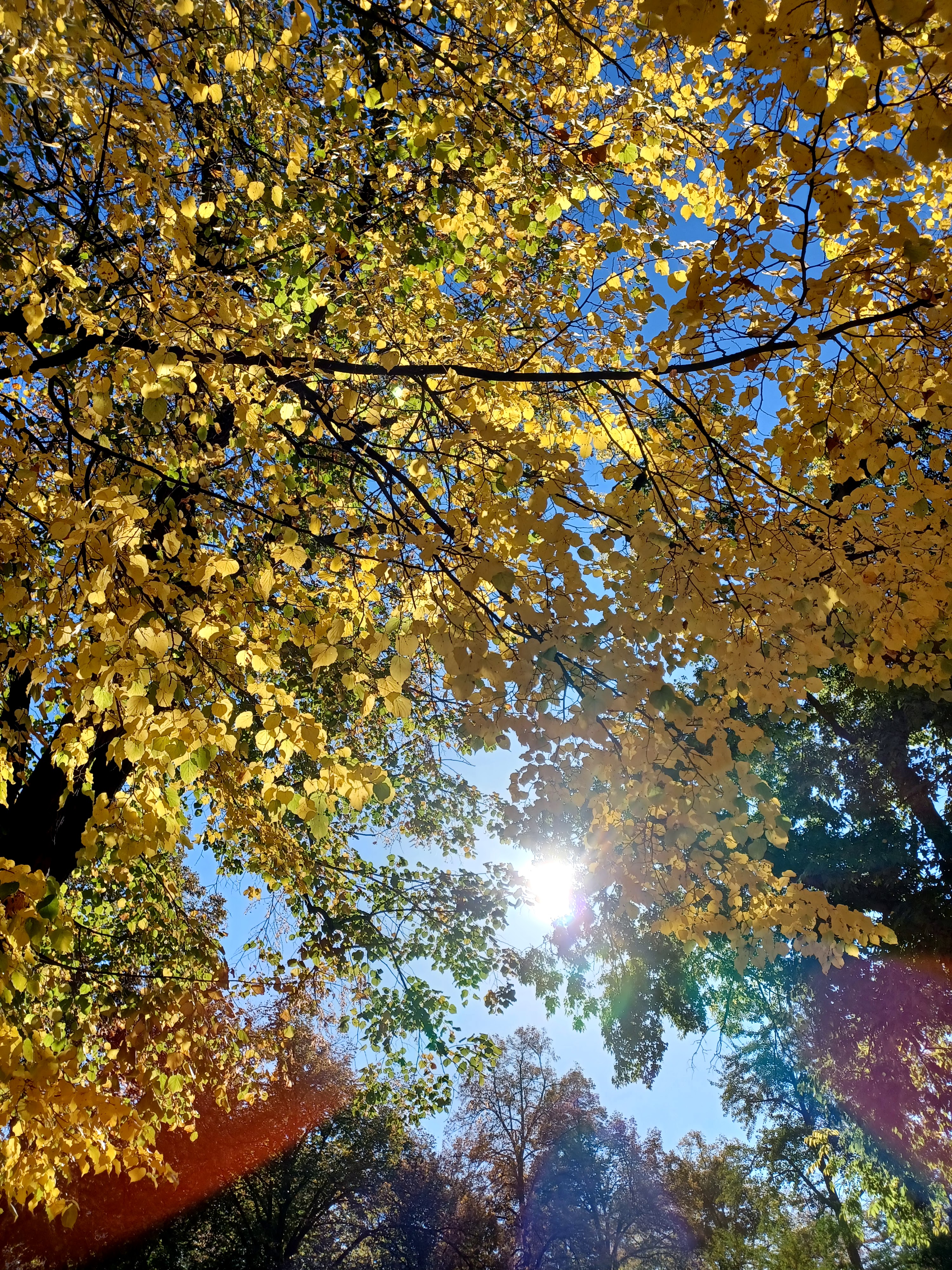 Photo n° 2 de l'avis de kieny.h fait le 10/10/2022 à 07:17