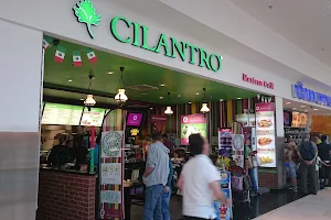 Cilantro Mexican Grill image