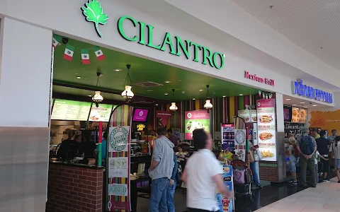 Cilantro Mexican Grill image