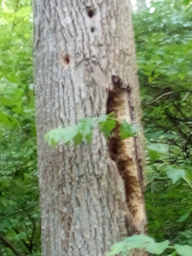 Art Museum «Richmond Art Museum», reviews and photos, 350 Hub Etchison Pkwy, Richmond, IN 47374, USA