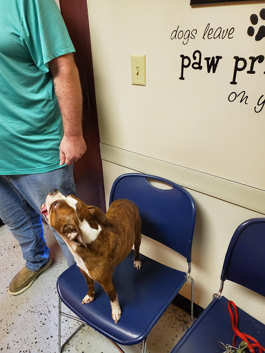 Blair Animal Hospital