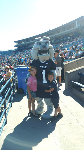 Stadium «Yale Bowl», reviews and photos, 81 Central Ave, New Haven, CT 06515, USA