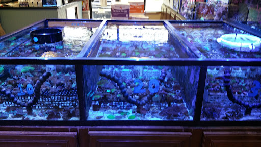 Pet Supply Store «Sea Level Aquarium», reviews and photos, 28 US-46, Pine Brook, NJ 07058, USA