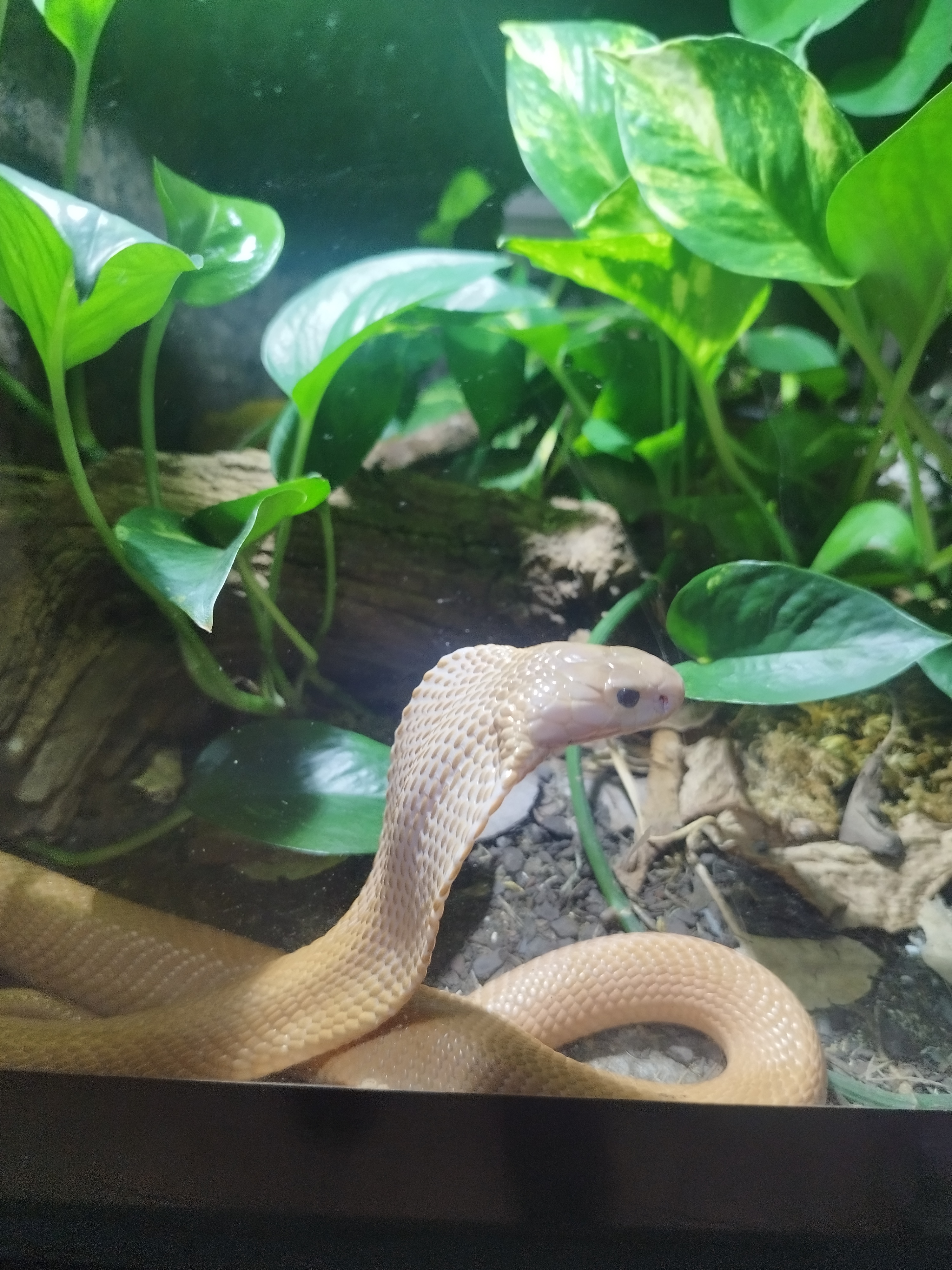 Photo n° 1 de l'avis de aurélien.e fait le 26/06/2023 à 19:06