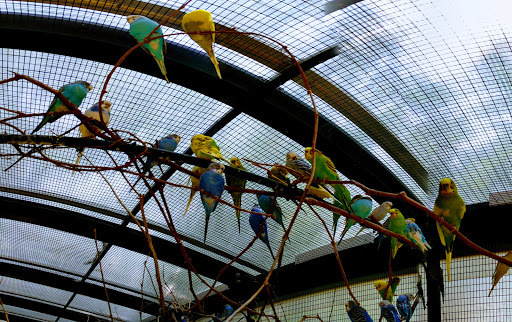 Zoo «Potter Park Zoo», reviews and photos, 1301 S Pennsylvania Ave, Lansing, MI 48912, USA