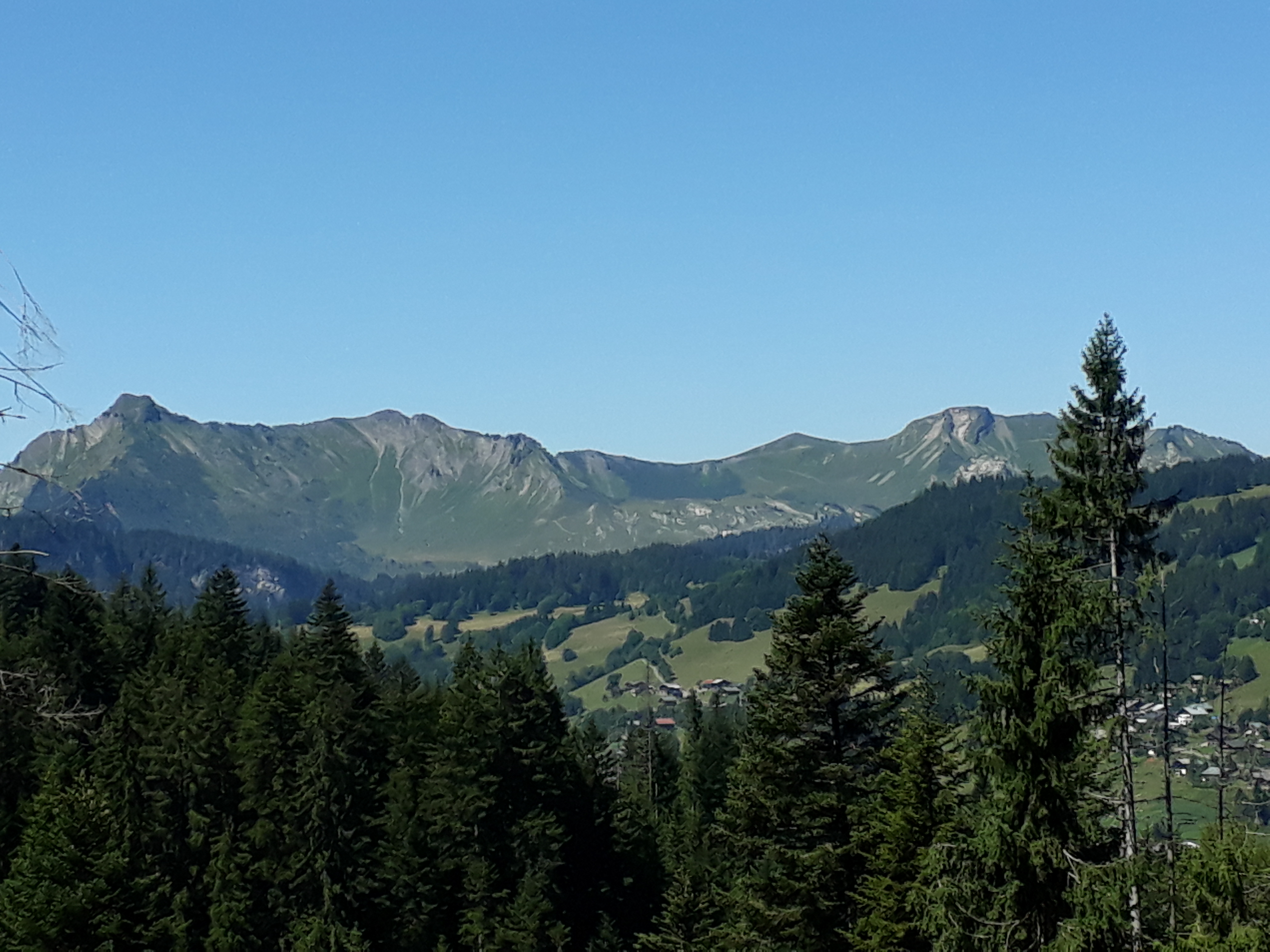 Photo n° 1 de l'avis de Julien.O fait le 07/08/2019 à 16:23