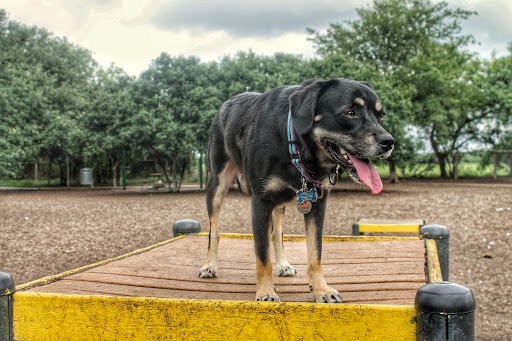 Park «McAllister Park», reviews and photos, 13102 Jones Maltsberger Rd, San Antonio, TX 78247, USA