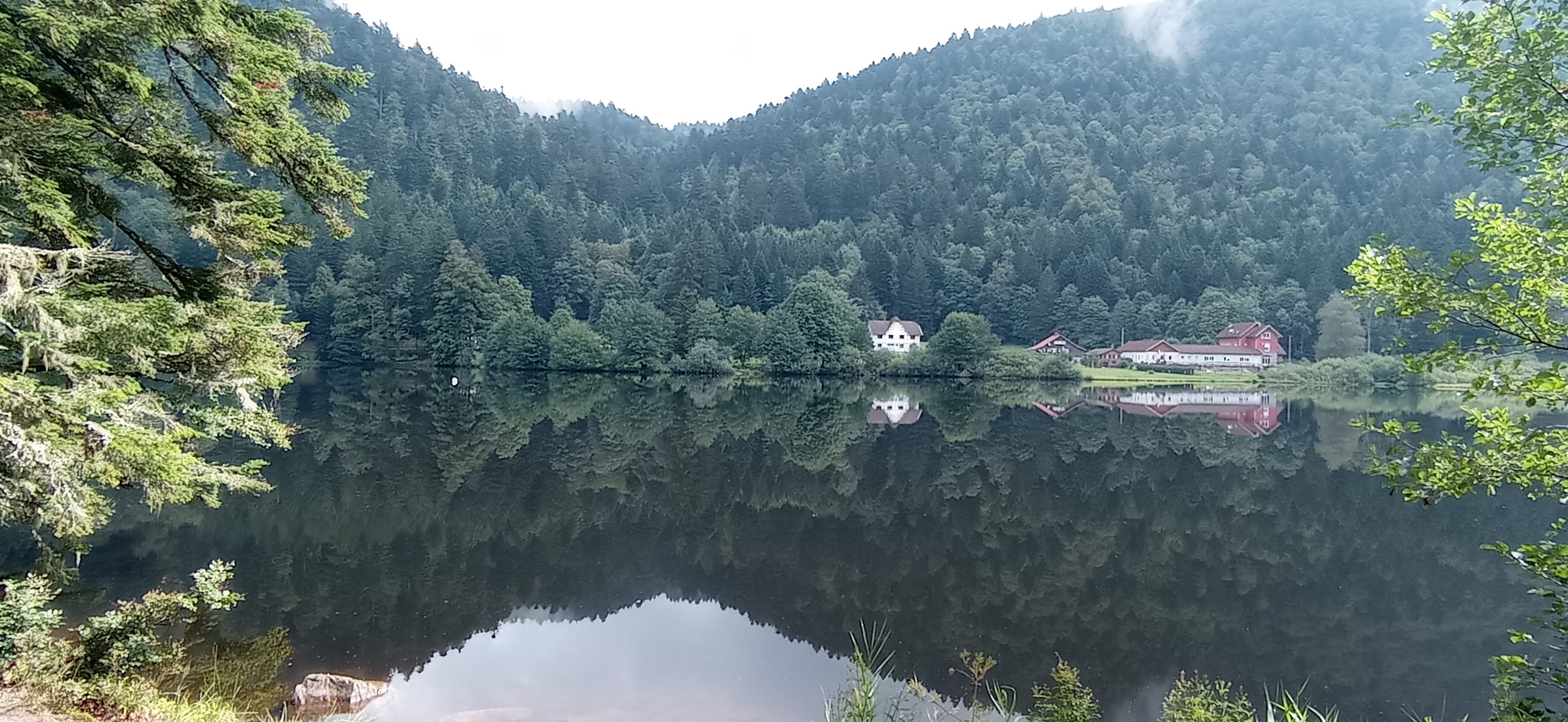 Photo n° 5 de l'avis de Patrick.o fait le 04/09/2023 à 18:54