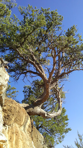 Amusement Center «Sky Zone Trampoline Park», reviews and photos, 7440 Dean Martin Dr #201, Las Vegas, NV 89139, USA