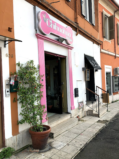Chihuahua Boutique di Sabrina Ferrara