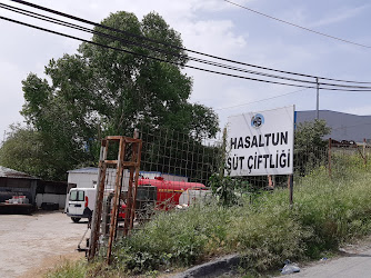 Hasaltun süt çiftliği