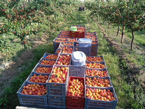 Épicerie EARL Les Fruits D'une Passion Eygaliers