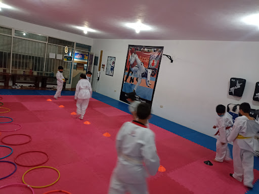 TAEKWONDO JIDOKWAN AGUIRRE