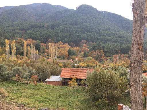 Köyceğiz Yayla Köyü Ağla Mesire Yeri