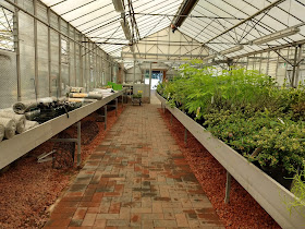 Fereneze Plant Nursery