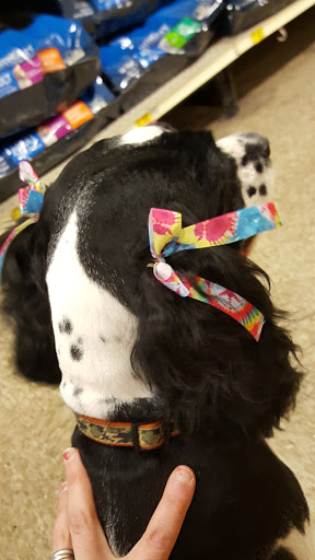 Pet Supply Store «PetSmart», reviews and photos, 3500 S Glenstone Ave, Springfield, MO 65804, USA
