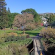 Dunedin Botanic Garden Lookout