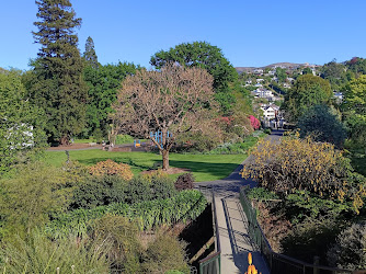 Dunedin Botanic Garden Lookout