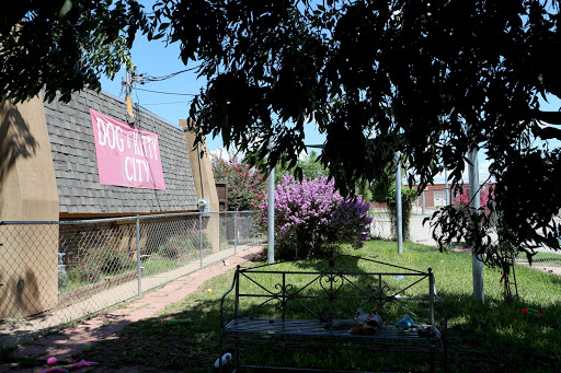 Animal Protection Organization «Humane Society of Dallas County/Dog and Kitty City», reviews and photos