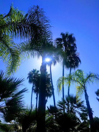 Resort «Morgan Run Club & Resort», reviews and photos, 5690 Cancha De Golf, Rancho Santa Fe, CA 92091, USA