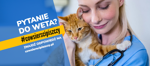 Kliniki sterylizacji kotów Warszawa