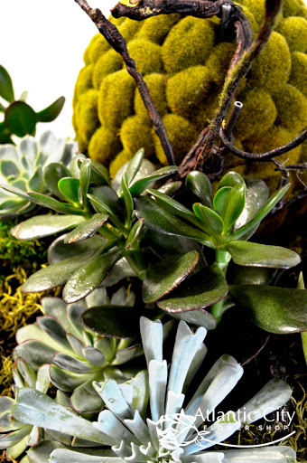 Florist «Atlantic City Flower Shop», reviews and photos, 2329 Atlantic Ave, Atlantic City, NJ 08401, USA