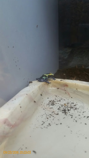 Pet Supply Store «Petco Animal Supplies», reviews and photos, 4175 Dowlen Rd, Beaumont, TX 77706, USA