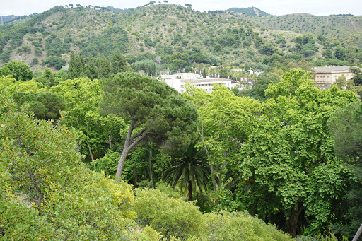 Jardín Botánico - Histórico La Concepción