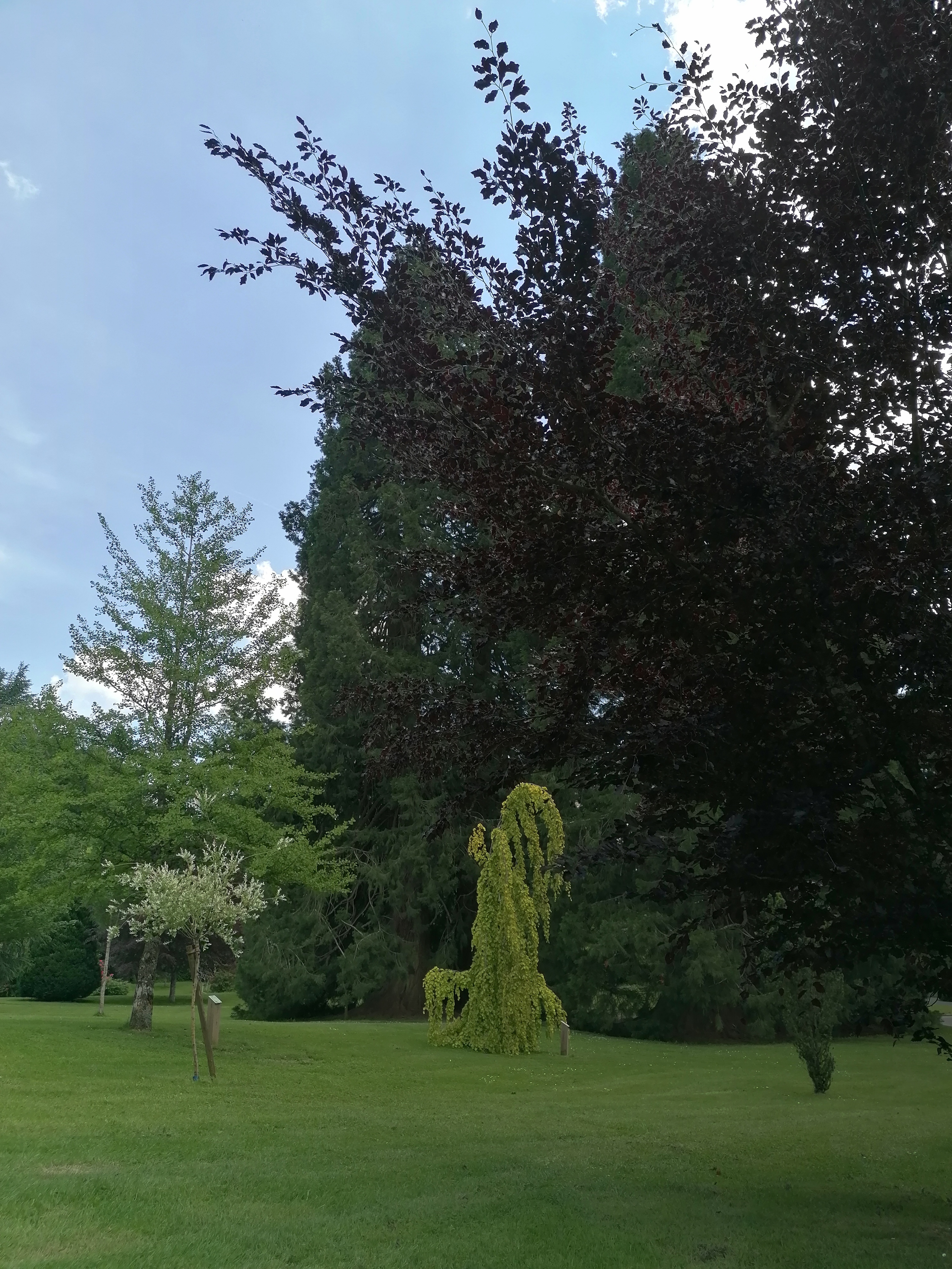 Photo n° 2 de l'avis de Hélène. fait le 07/06/2023 à 20:16