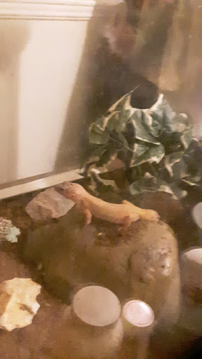 Pet Supply Store «Pet Supplies Plus», reviews and photos, 211 Golden Isles Plaza, Brunswick, GA 31520, USA