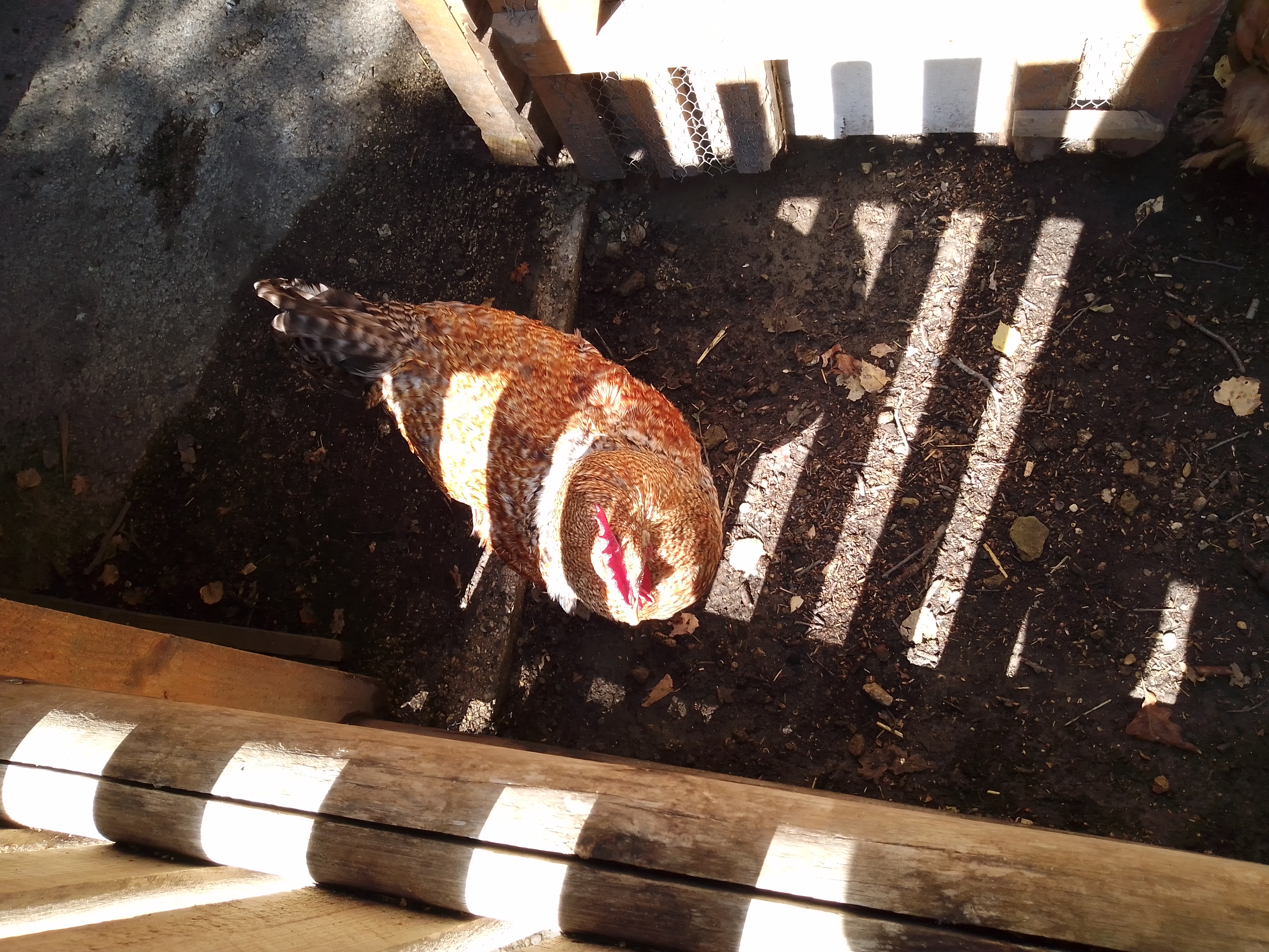 Photo n° 7 de l'avis de Prisc. fait le 17/08/2022 à 18:21