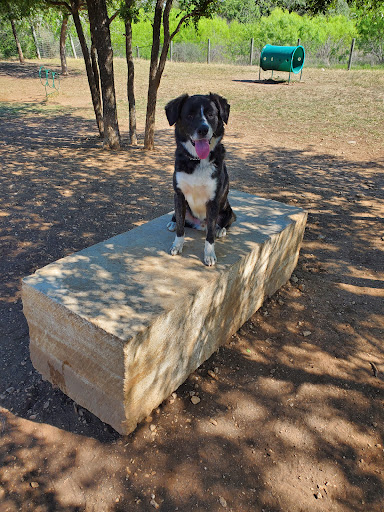 Park «Nani Falcone Community Park», reviews and photos, 7625 Mystic Park, San Antonio, TX 78254, USA