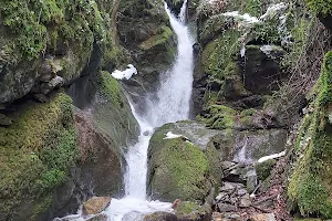 Leshnishki Waterfall image