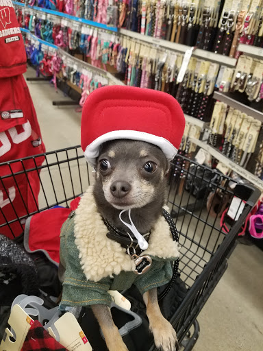 Pet Supply Store «Petco Animal Supplies», reviews and photos, 6025 Kruse Dr #159, Solon, OH 44139, USA