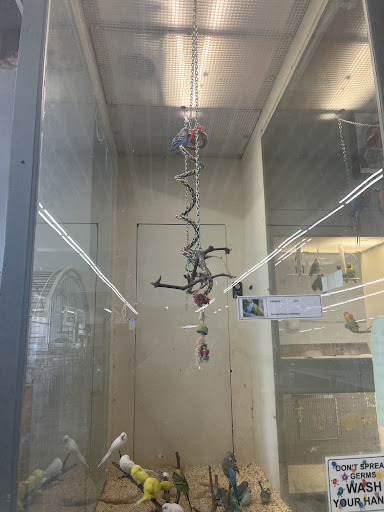 Pet Store «Sierra Fish and Pets», reviews and photos, 601 S Grady Way Suite M, Renton, WA 98057, USA