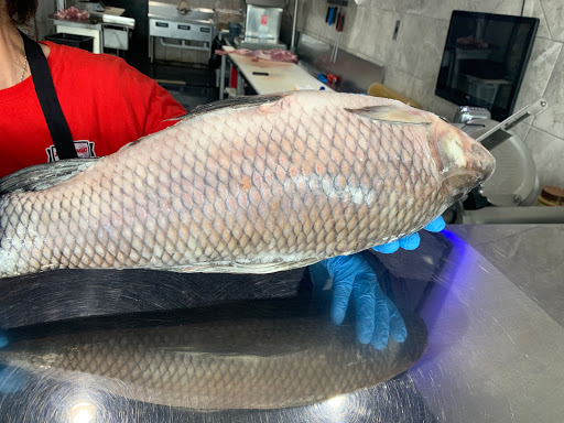 Butcher Shop «Jouni Meat of Sterling Heights», reviews and photos, 37234 Dequindre Rd, Sterling Heights, MI 48310, USA